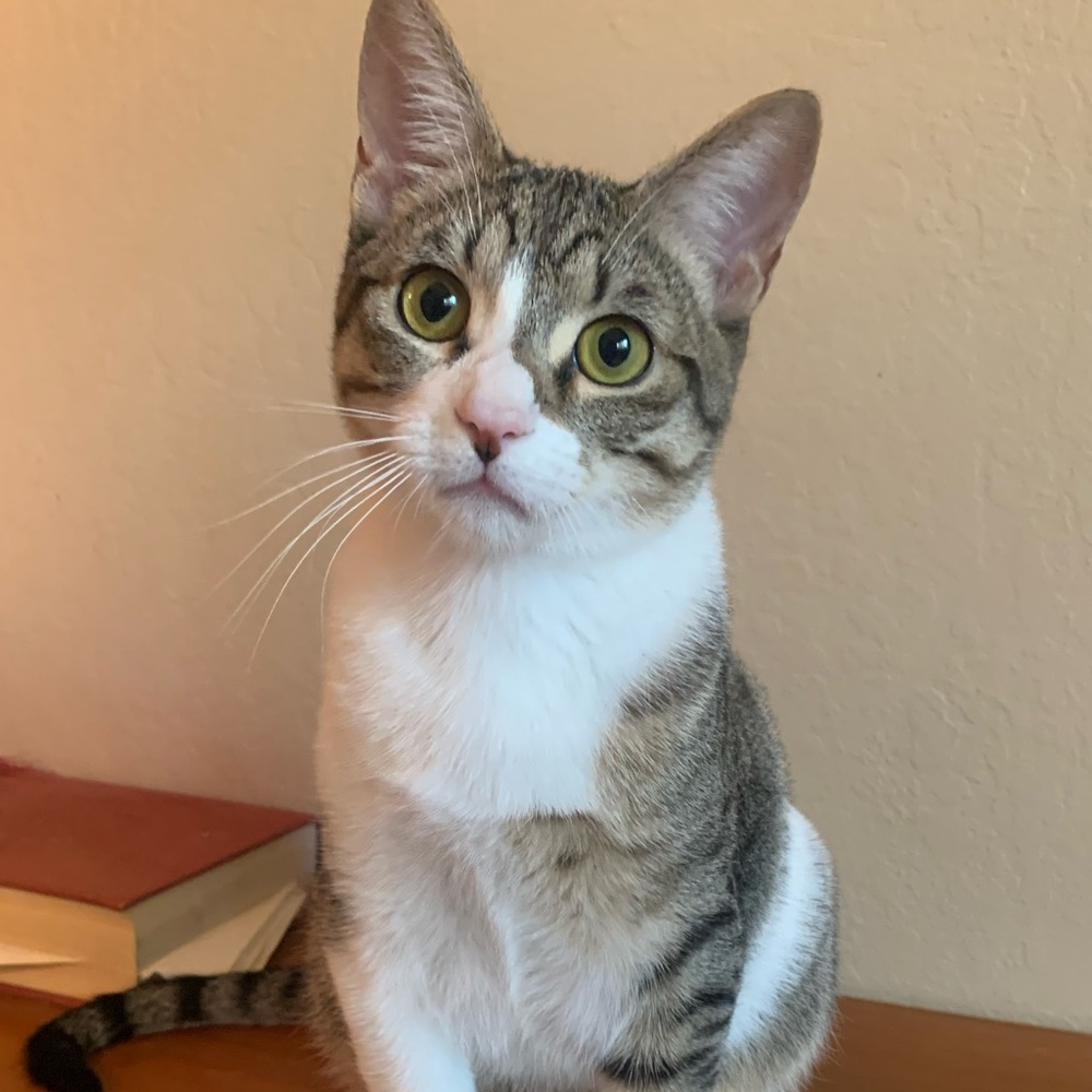 Meet your Posher, Ruby
